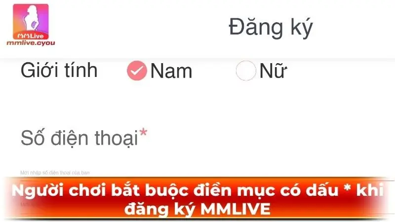 Người chơi bắt buộc điền mục có dấu * khi đăng ký MMLIVE