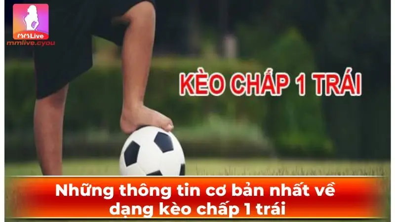 Những thông tin cơ bản nhất về dạng kèo chấp 1 trái