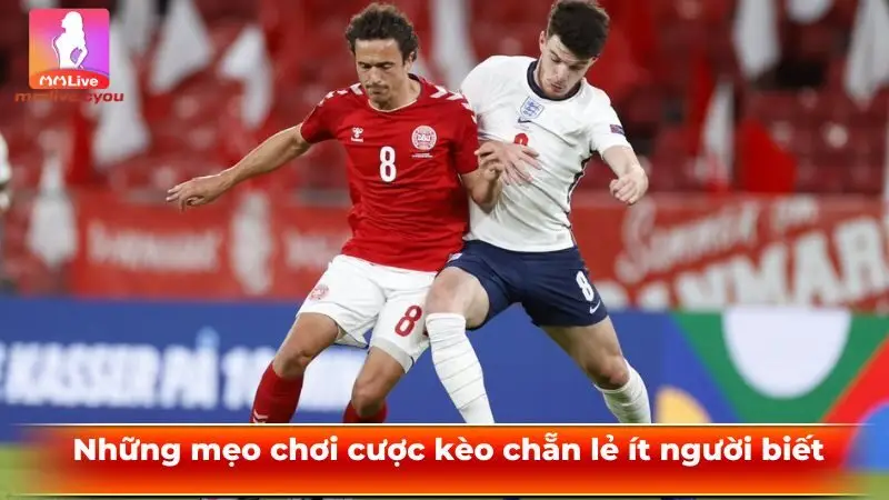 Những mẹo chơi cược kèo chẵn lẻ ít người biết 