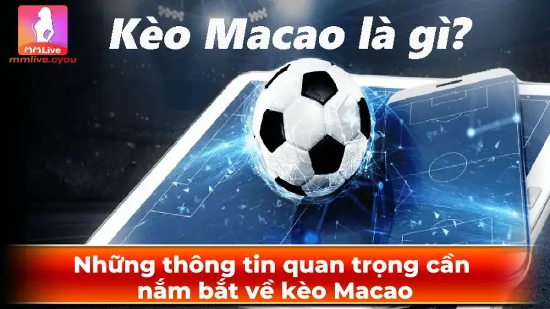 Những thông tin quan trọng cần nắm bắt về kèo Macao