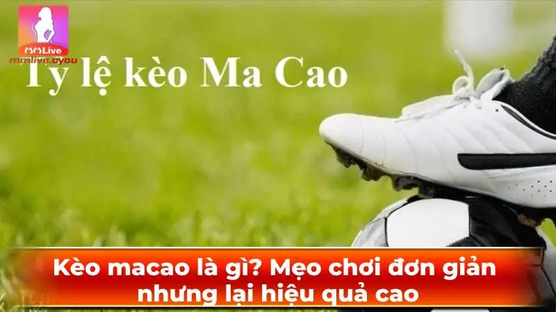 keo-macao-anh-dai-dien