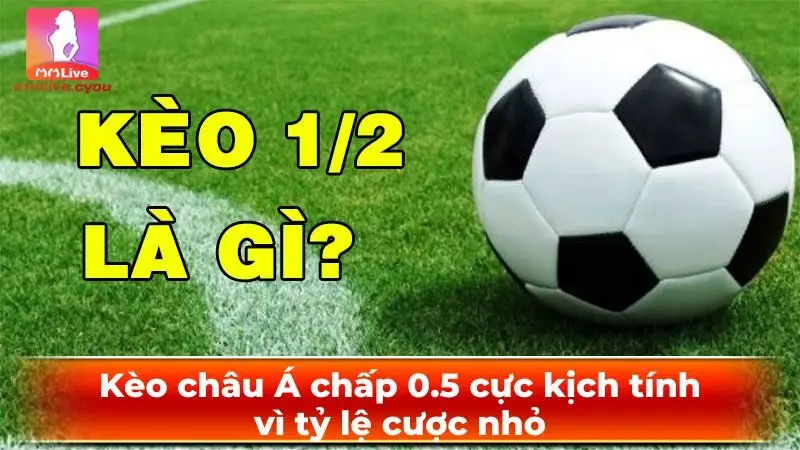 Kèo châu Á chấp 0.5 cực kịch tính vì tỷ lệ cược nhỏ