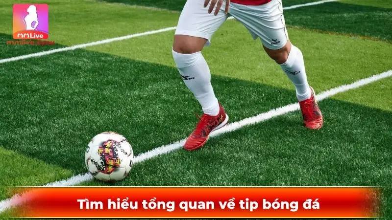 Tìm hiểu tổng quan về tip bóng đá