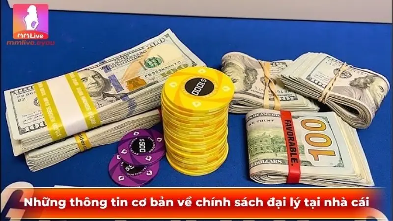 Những thông tin cơ bản về chính sách đại lý tại nhà cái